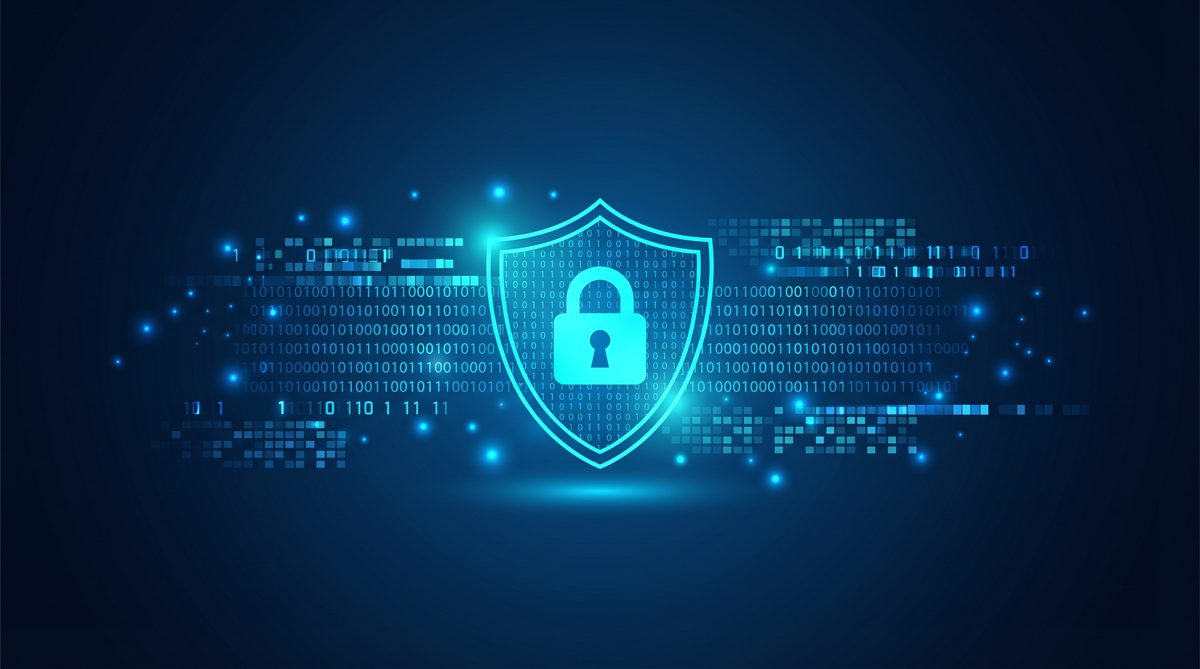 蓝鹿加速器隐私安全保护